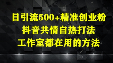 日引流500+精准创业粉，抖音共情自热打法，工作室都在用的方法-叮当猫聊项目
