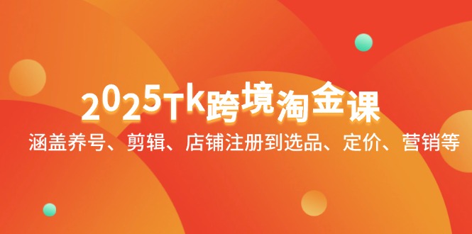 2025Tk跨境淘金课：涵盖养号、剪辑、店铺注册到选品、定价、营销等-叮当猫聊项目