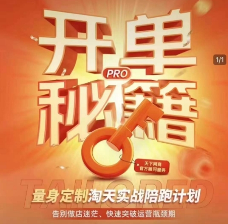 淘宝开单秘籍PRO，量身定制淘天实战陪跑计划，告别做店迷茫、快速突破运营瓶颈期(更新)-叮当猫聊项目