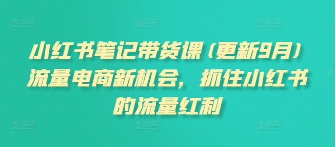小红书笔记带货课(更新25年4月)流量电商新机会，抓住小红书的流量红利-叮当猫聊项目