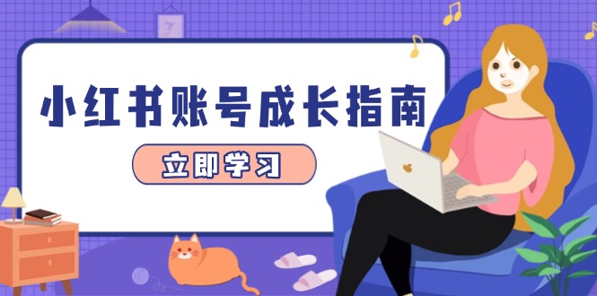 小红书账号成长指南，爆款选题+精准定位+数据分析，系统提升账号变现能力-叮当猫聊项目