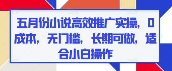 五月份小说高效推广实操，0成本，无门槛，长期可做，适合小白操作-叮当猫聊项目