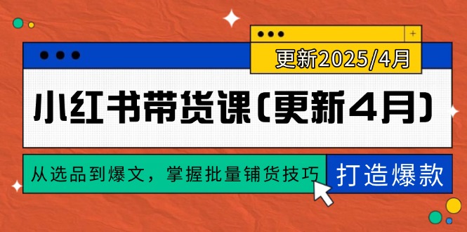 小红书带货课(更新4月-叮当猫聊项目