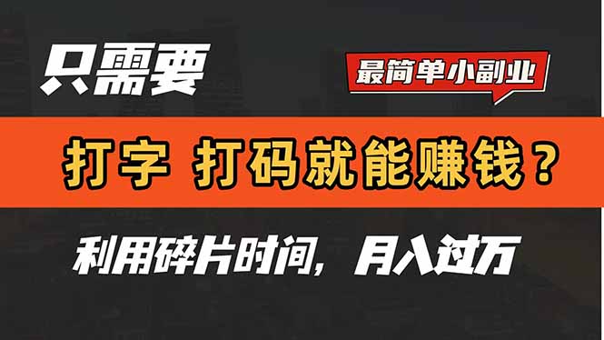 只需要打字，打码，就能赚钱？简单的赚钱小副业，利用碎片时间，月入过万-叮当猫聊项目
