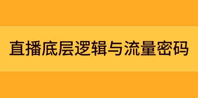 直播底层逻辑与流量密码：定位模型+案例拆解，急速流承接与数据优化全攻略-叮当猫聊项目