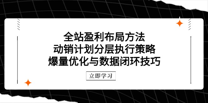 全站盈利布局方法：动销计划分层执行策略，爆量优化与数据闭环技巧-叮当猫聊项目