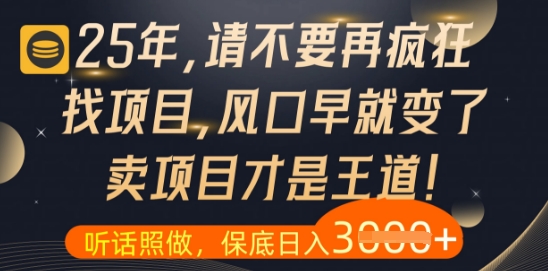 什么？25年你还在疯狂找项目做，醒醒吧，看完这些你全都懂了【揭秘】-叮当猫聊项目