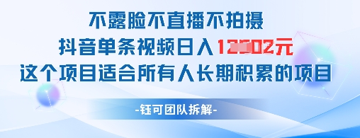 不露脸不直播不拍摄抖音单条视频日入1k+这个项目适合所有人长期积累的项目-叮当猫聊项目
