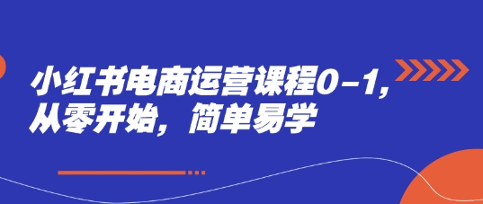 小红书电商运营课程0-1，从零开始，简单易学-叮当猫聊项目