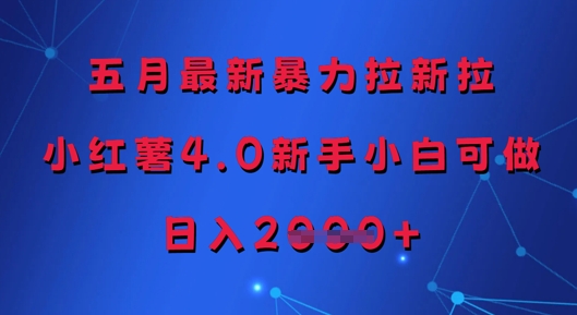 五月最新暴力拉新拉，小红薯4.0新手小白可做，日入多张-叮当猫聊项目