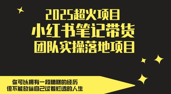 2025超火项目，副业最佳选择，小红书笔记带货团队实操落地项目，，轻松日入5张-叮当猫聊项目