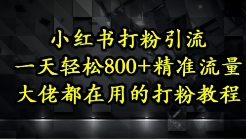 小红书打粉引流，一天轻松500+精准流量，大佬都在用的打粉教程-叮当猫聊项目