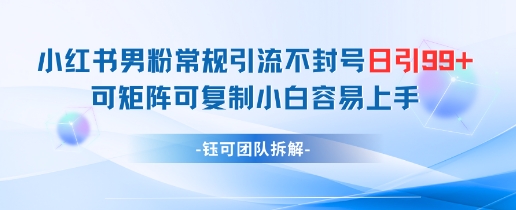 小红书男粉常规引流不封号日引99+变现简单 可矩阵可复制小白容易上手-叮当猫聊项目