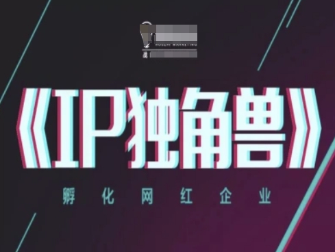 IP独角兽，孵化网红企业，ip教程-叮当猫聊项目