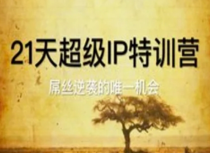 21天超级IP特训营，屌丝逆袭的唯一机会-叮当猫聊项目