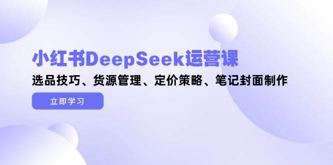 小红书DeepSeek运营课，选品技巧、货源管理、定价策略、笔记封面制作-叮当猫聊项目