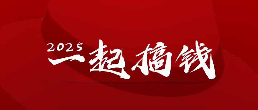 2025年，请“不择手段”去搞钱!-叮当猫聊项目