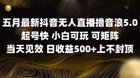 2025五月最新无人直播撸音浪单日产出5张+实操教程【揭秘】-叮当猫聊项目