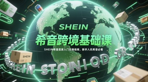 希音跨境基础课，SHEIN希音卖家入门实操指南，新手入坑希音必看-叮当猫聊项目