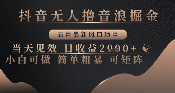 抖音无人撸音浪掘金，五月最新风口项目，当天见效，日收益多张，小白可做简单粗暴可矩阵【揭秘】-叮当猫聊项目