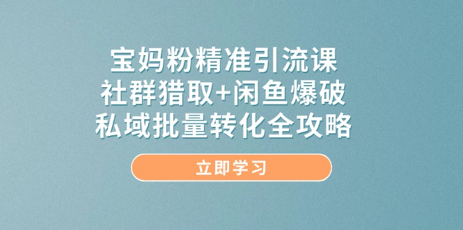 宝妈粉精准引流课，社群猎取+闲鱼爆破，私域批量转化全攻略-叮当猫聊项目