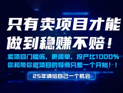 只有卖项目才能做到稳挣不赔，门槛低，更简单，你也可以年入百个W【揭秘】-叮当猫聊项目