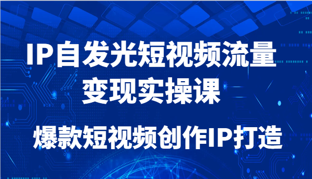 IP自发光短视频流量变现实操课，爆款短视频创作IP打造-叮当猫聊项目