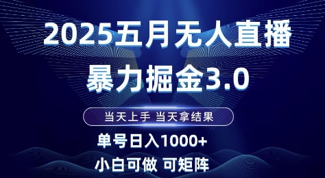2025五月无人直播暴力掘金3.0，当天上手，当天拿结果，单号日入1k+小白可做可矩阵【揭秘】-叮当猫聊项目