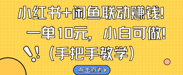 小红书+闲鱼联动挣钱，一单10元，小白可做-叮当猫聊项目
