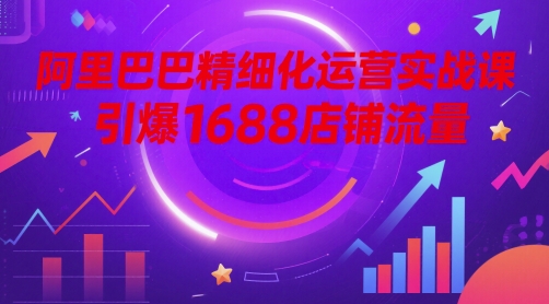 阿里巴巴精细化运营实战课，引爆1688店铺流量-叮当猫聊项目