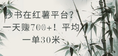 抄书在小红薯平台？平均一单30米，一天收益几张！-叮当猫聊项目