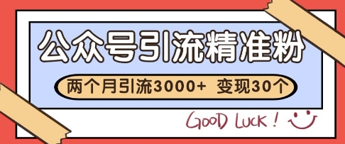 公众号精准粉引流玩法，2个月3000+精准粉，变现30个W【揭秘】-叮当猫聊项目