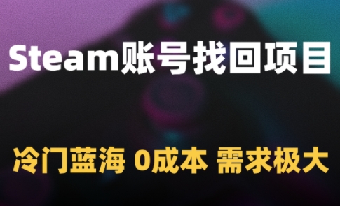 Steam账号找回项目，冷门蓝海，0成本，需求极大-叮当猫聊项目