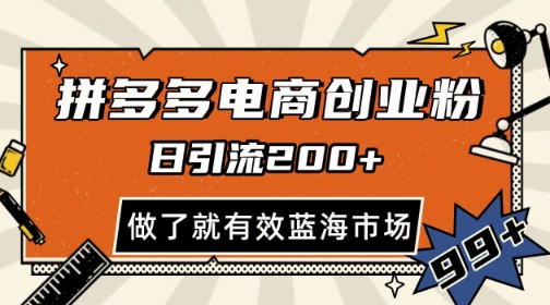 拼多多引流电商创业粉，日引200+，可矩阵放大，做了就有效【揭秘】-叮当猫聊项目