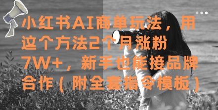 小红书AI商单玩法，用这个方法2个月涨粉7W+，新手也能接品牌合作(附全套指令模板)-叮当猫聊项目