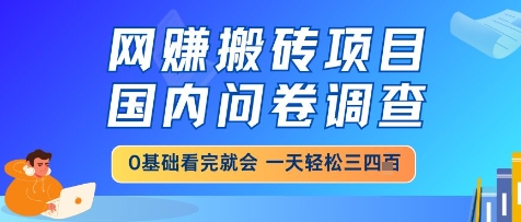 网创搬砖项目，国内问卷调查，小白轻松上手，一天三四张的也不难，干就完了【揭秘】-叮当猫聊项目