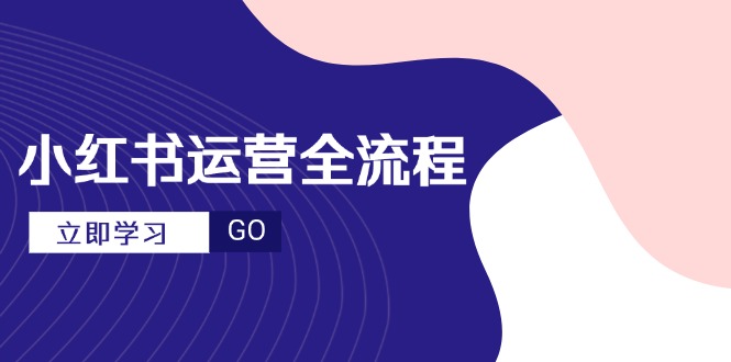 小红书运营全流程，爆款选题文案，视频制作技巧，进阶达人宝典-叮当猫聊项目