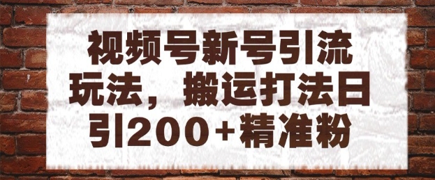 视频号新号引流玩法，搬运打法日引200+精准粉，可矩阵放大【揭秘】-叮当猫聊项目