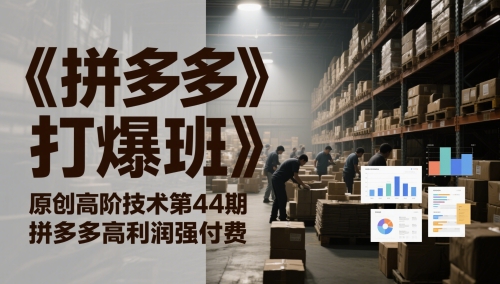《拼多多打爆班》原创高阶技术第44期，拼多多高利润强付费-叮当猫聊项目