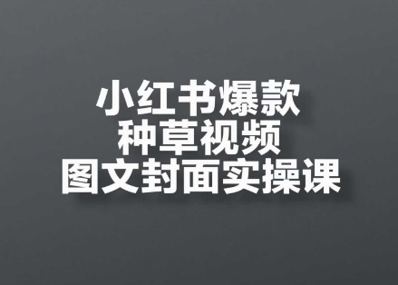 小红书爆款种草视频图文封面实操课，​开店、选品、引流、变现全流程-叮当猫聊项目