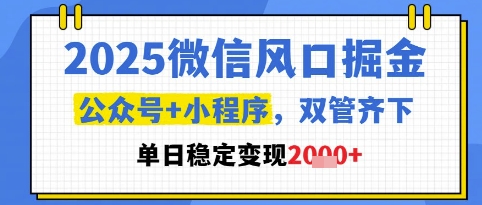 2025微信风口掘金，公众号+小程序双管齐下，单日稳定变现1k+【揭秘】-叮当猫聊项目