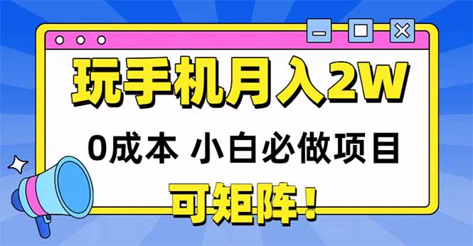 玩玩手机月入20000+，0成本小白必做项目，可矩阵-叮当猫聊项目