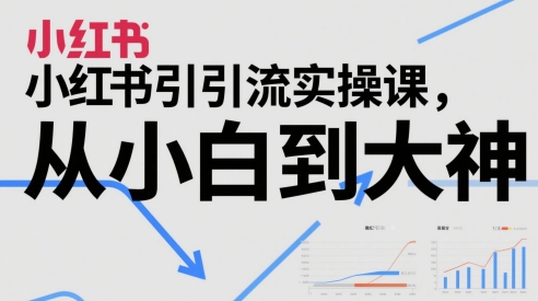 小红书引流实操课，从小白到大神-叮当猫聊项目