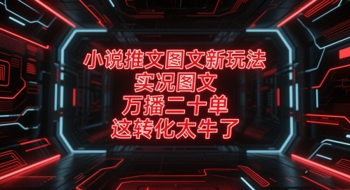 小说推文图文新玩法，实况图文，万播二十单，这转化太牛了！-叮当猫聊项目