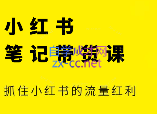 张宾·小红书笔记带货课(更新5月)-叮当猫聊项目