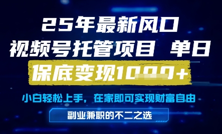 25年最新风口，视频号托管项目，单日保底变现1k+，手把手教学【揭秘】-叮当猫聊项目