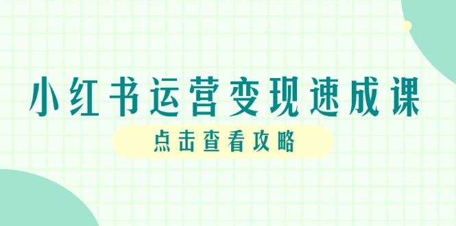小红书运营变现速成课，账号搭建到暴力起号，个人IP全流程指南-叮当猫聊项目