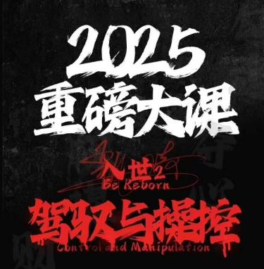 2025重磅大课，入世2，驾驭与控制-叮当猫聊项目