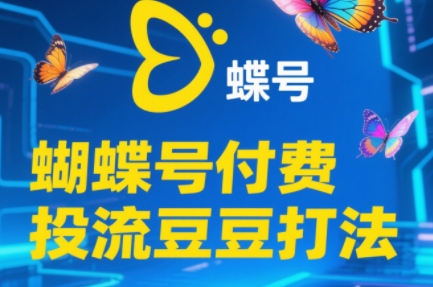 渔财老师·2025蝴蝶号付费投流豆豆打法-叮当猫聊项目