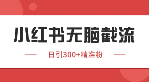 小红书截流同行客源，独家野路子获客玩法 日引200+暴力获客【揭秘】-叮当猫聊项目